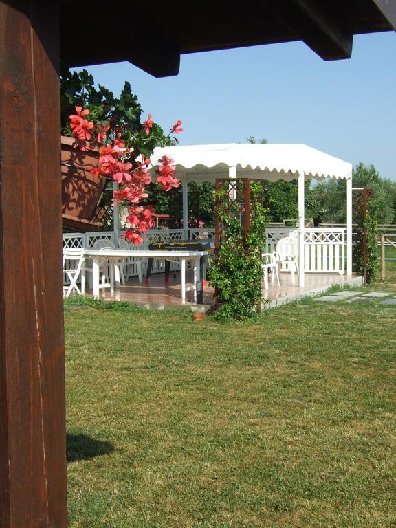 Agriturismo La Casa Della Lavanda - Il Rustico Marina di Montemarciano Zewnętrze zdjęcie